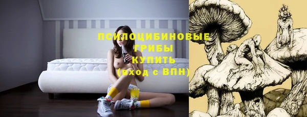 2c-b Навашино