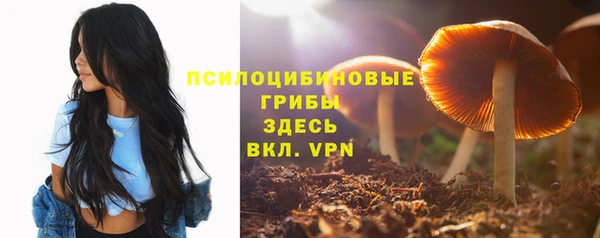 2c-b Навашино