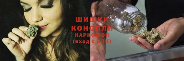 шишки Наволоки