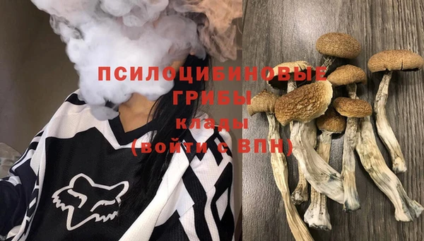 шишки Наволоки