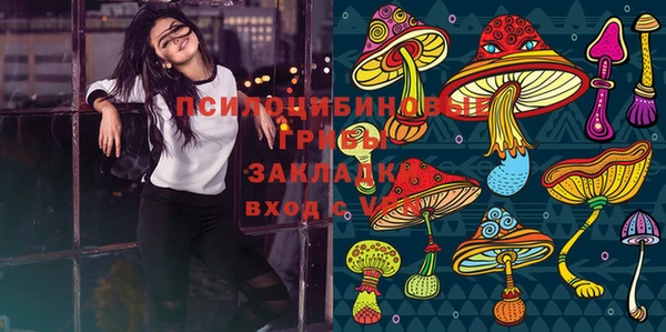 шишки Наволоки